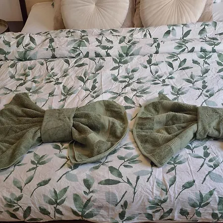 Apartment 2 Bedroom In Center, Near Metro